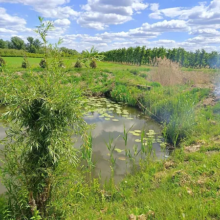 Campsite Ostoja Glamping Pole Namiotowe