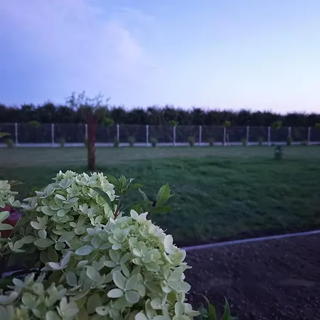 Dolina Królów Glamping Pole Namiotowe Kemping