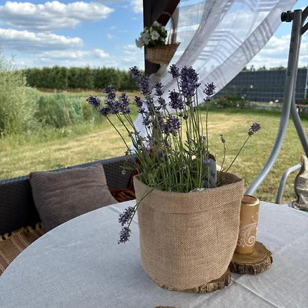 Dolina Królów Glamping Pole Namiotowe Kemping Czersk